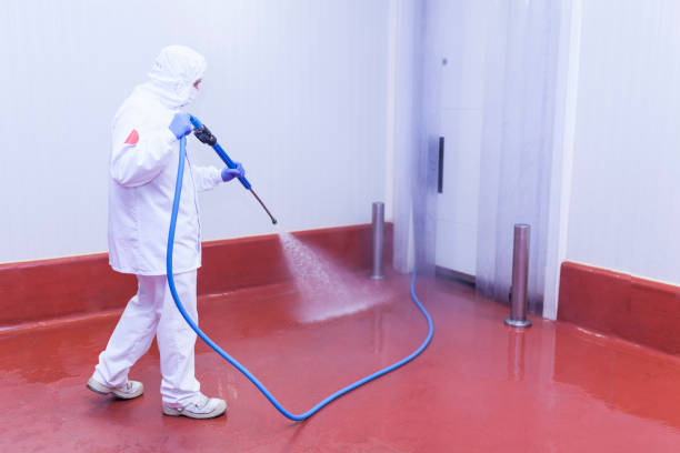 Best Roof Washing  in Chillum, MD