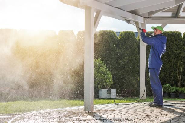 Animal Enclosure Cleaning in Chillum, MD